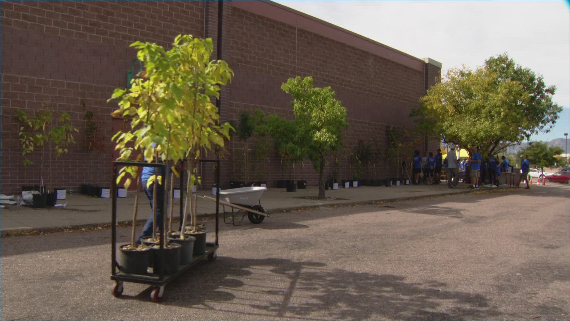 A group of organizations gave out 250 trees to people who lost their homes in the fire.