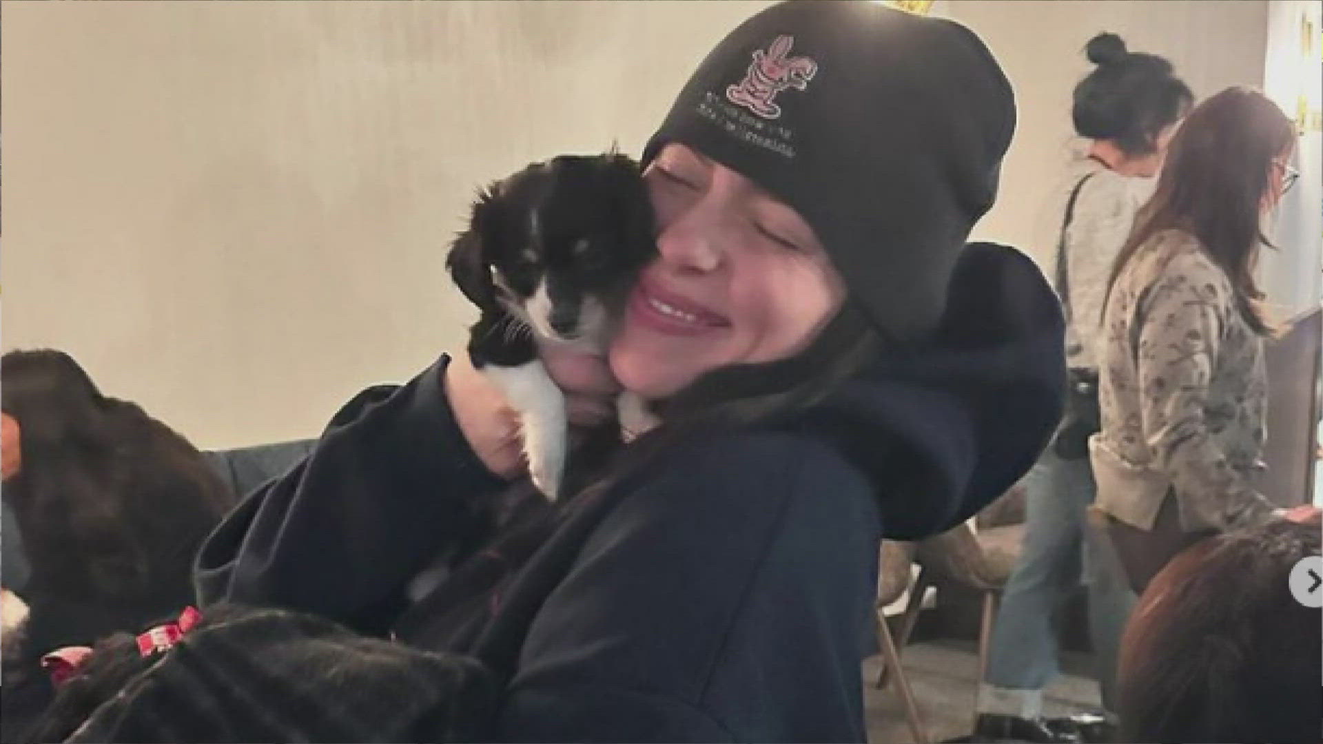 A Colorado dog rescue said its "pups got to spend the day showered with love from Billie Eilish and her wonderful team."