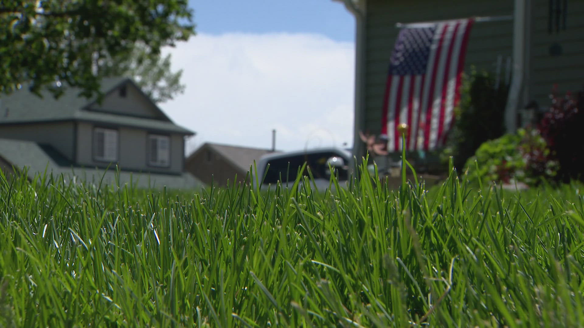 Castle Rock may ban HOA fines for brown lawns during drought | 9news.com