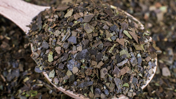 Clean energy: meet Guayusa, the plant missing from your diet