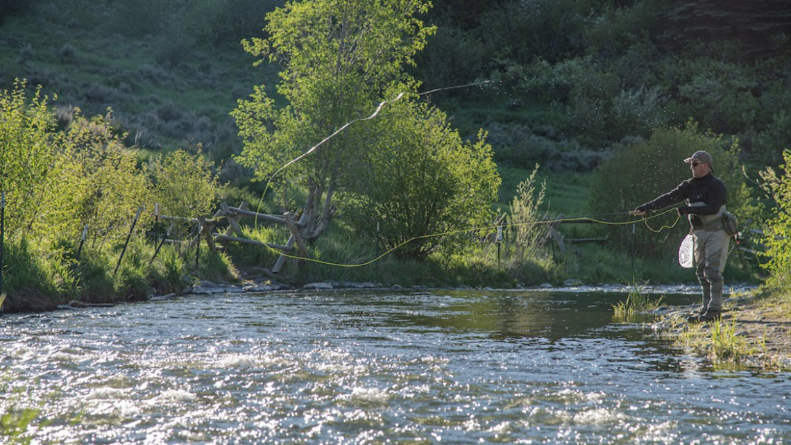 Free fishing this weekend in Colorado, CPW to give out 300 free fishing  poles for kids in Colorado Springs