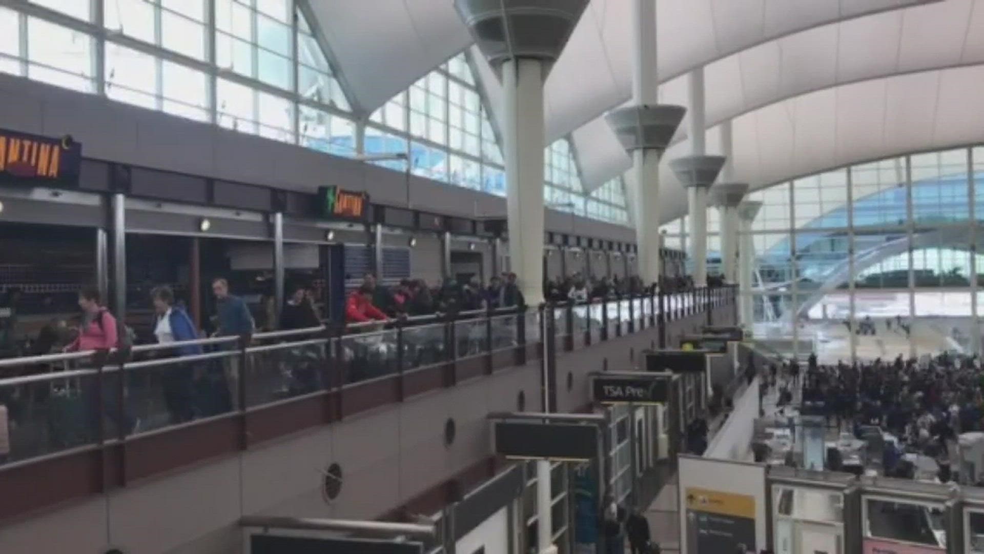 A line of United Airlines passengers continues to grow as customers try to change flights, book bags and more following the closure of Denver International Airport due to Wednesday's blizzard.