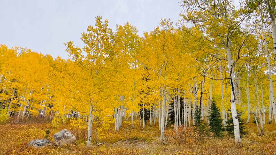 9 Things to do in Denver and Colorado this weekend October 911