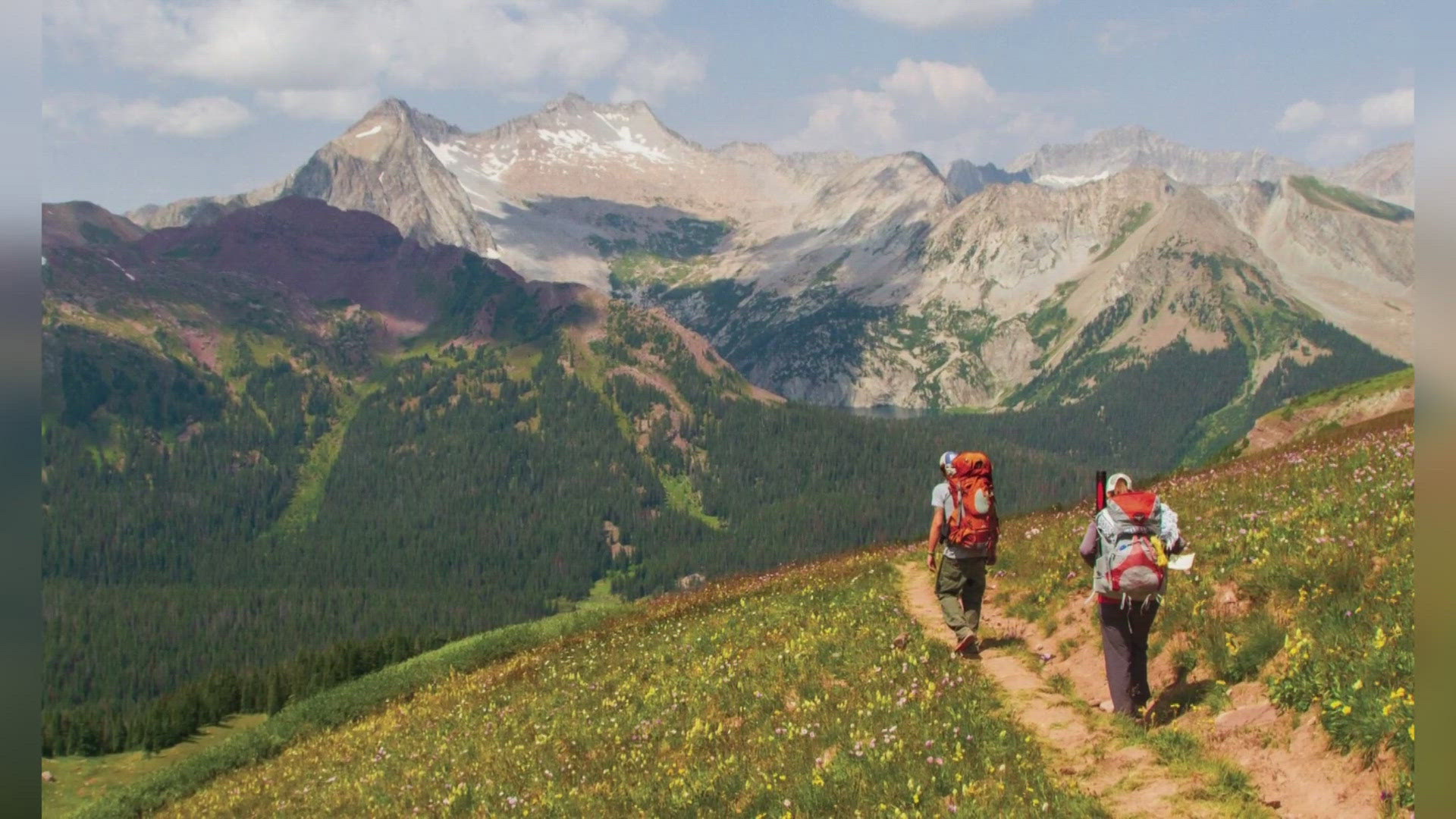 The magazine features 50 of the state's best hikes. They're organized by features and distance and are listed on their website.