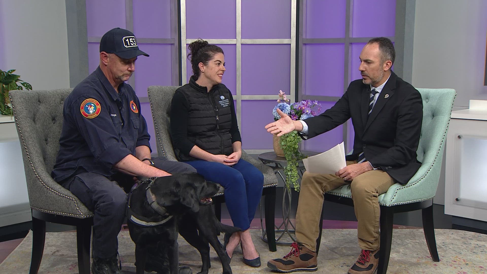 Dr. Emily Conway, with Mountain Star Veterinary Specialists talks about the exams happening for free in May, with registration opening April 1.