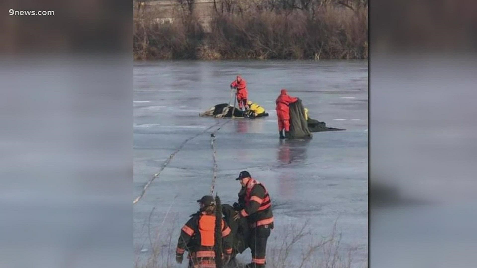 Nearly two dozen rescuers in Loveland worked together to save a horse stuck on an icy pond on Tuesday morning.