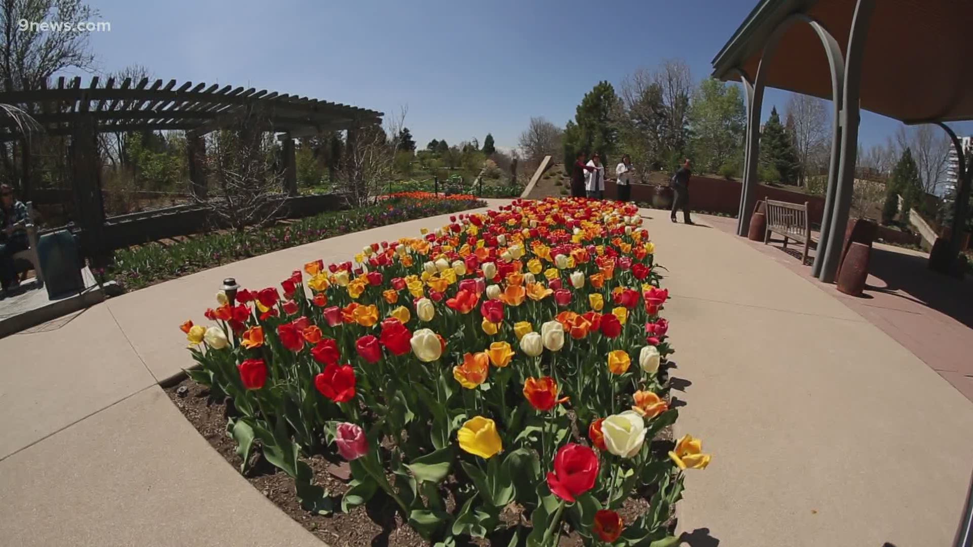 Denver Botanic Garden can reopen on limited basis, state says