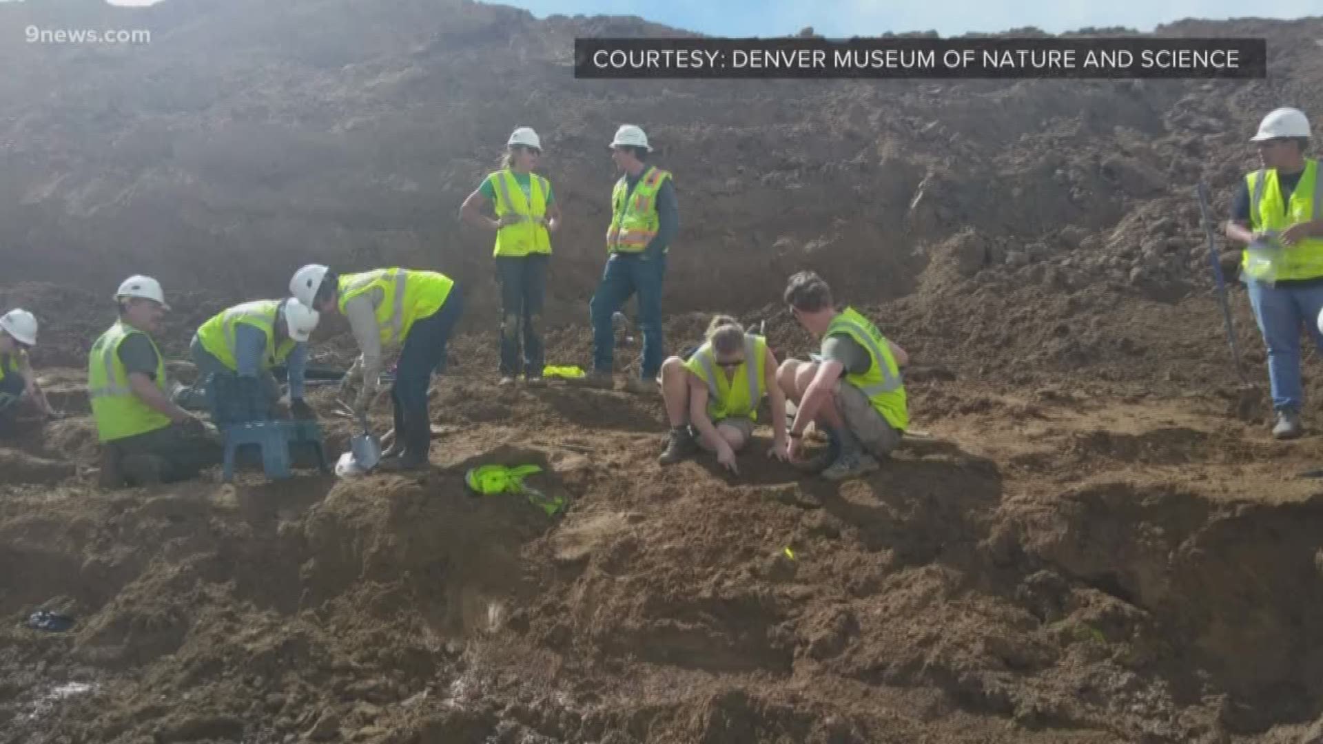 An expert from the Denver Museum of Nature and Science discusses the recent discovery of dinosaur bones at a construction site in Highlands Ranch.
