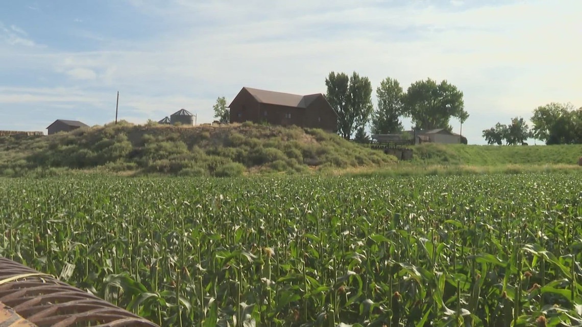 Colorado rolls back farmworker overtime protections, increasing OT threshold