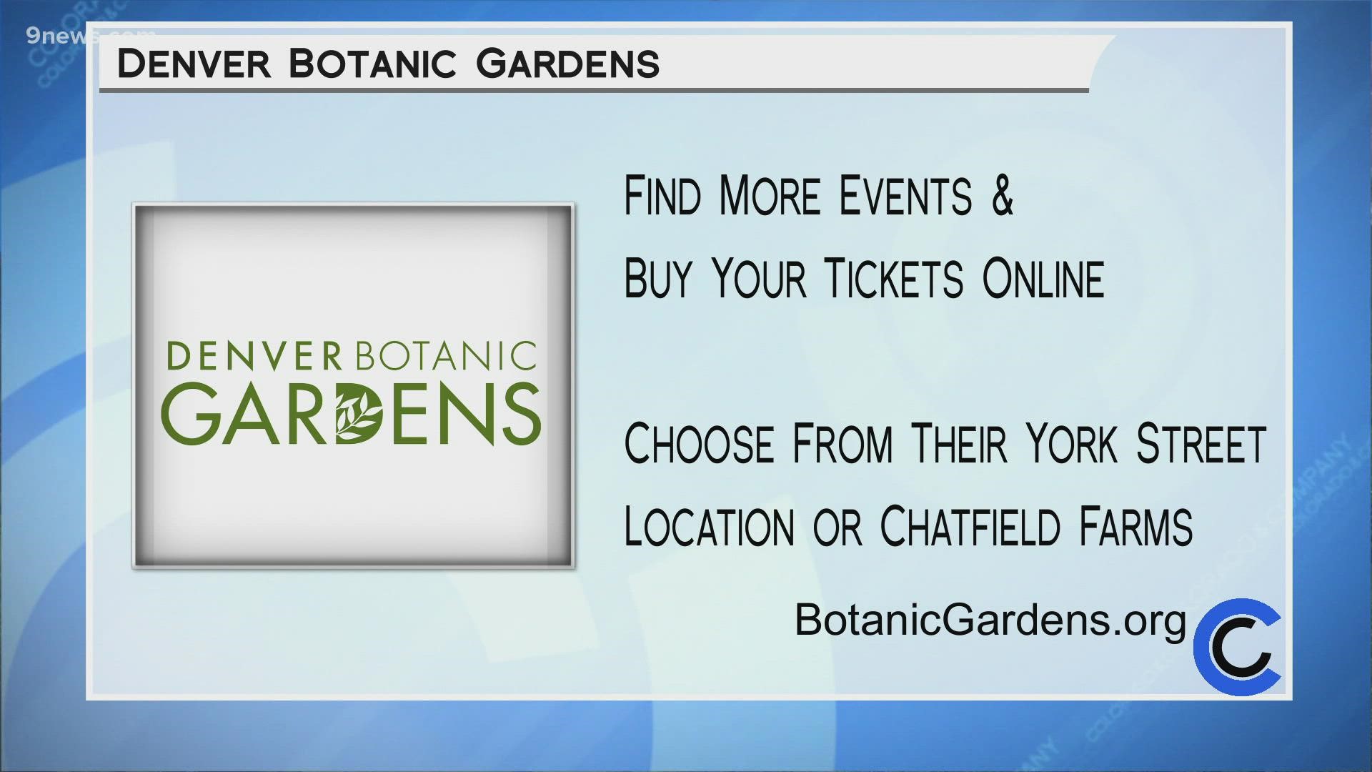 Find all the fall events happening at the Gardens this season at BotanicGardens.org.