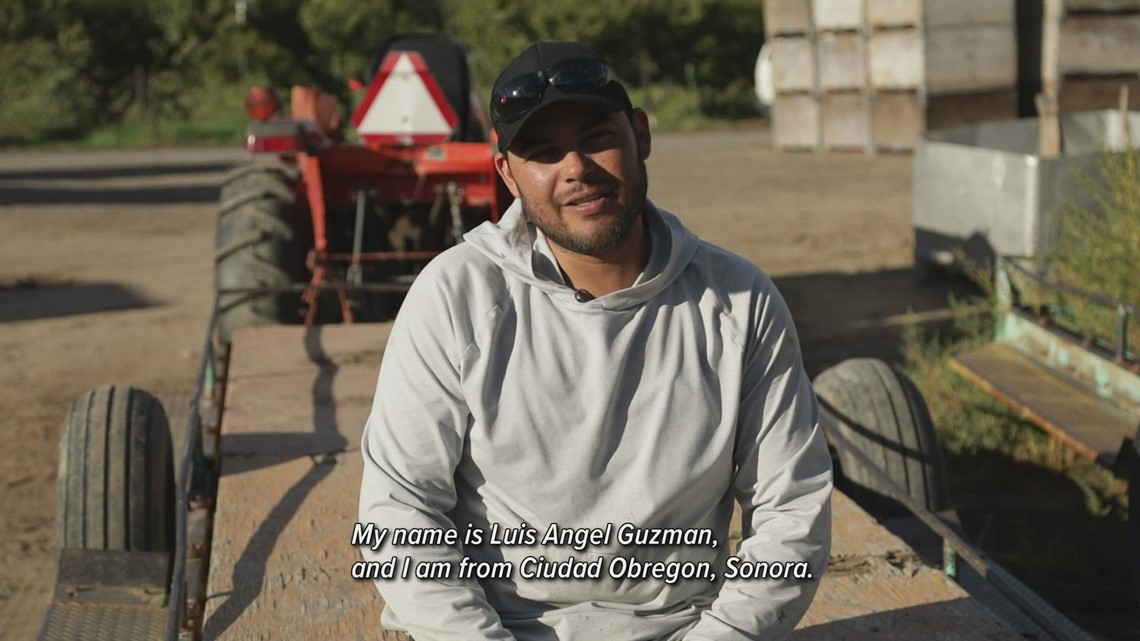 Meet Luis, who works on a Colorado peach farm to give his family in Mexico a better life