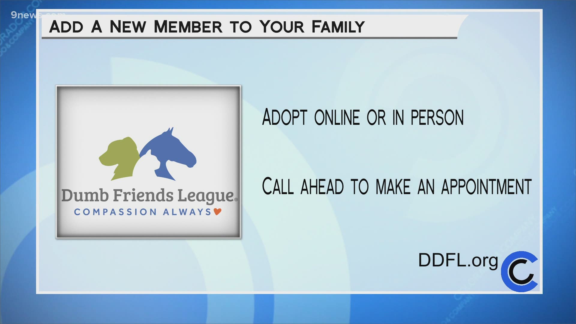 Adopt a pet now online or in person at DDFL.org.