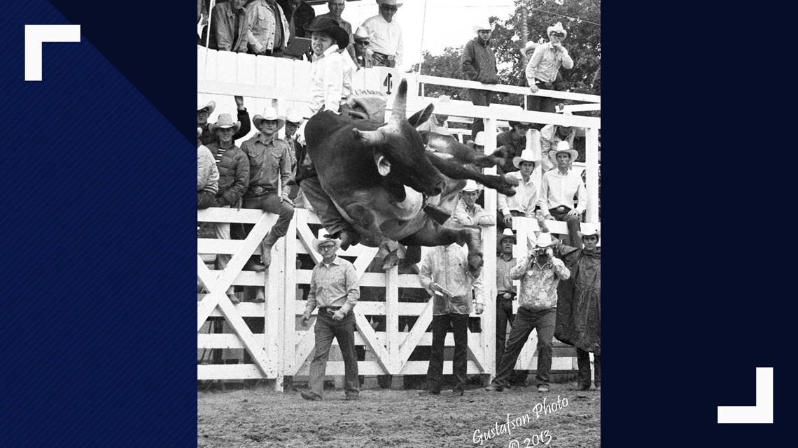 Bull Riding Colorado This Colorado photographer was inducted into the Bull Riding Hall of ...