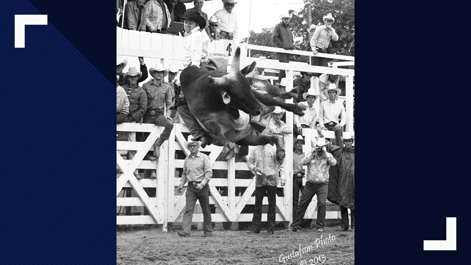 Colorado Bull Riding This Colorado photographer was inducted into the Bull Riding Hall of ...