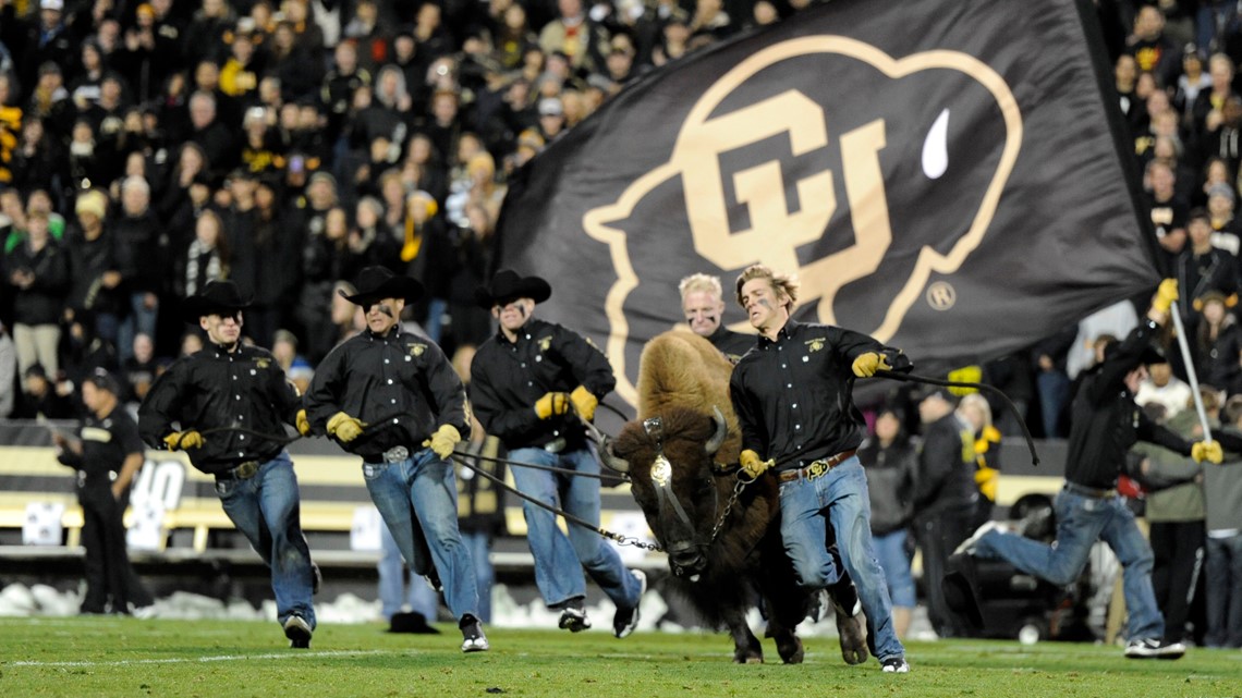 Why has Colorado's live buffalo Ralphie been making shorter runs?