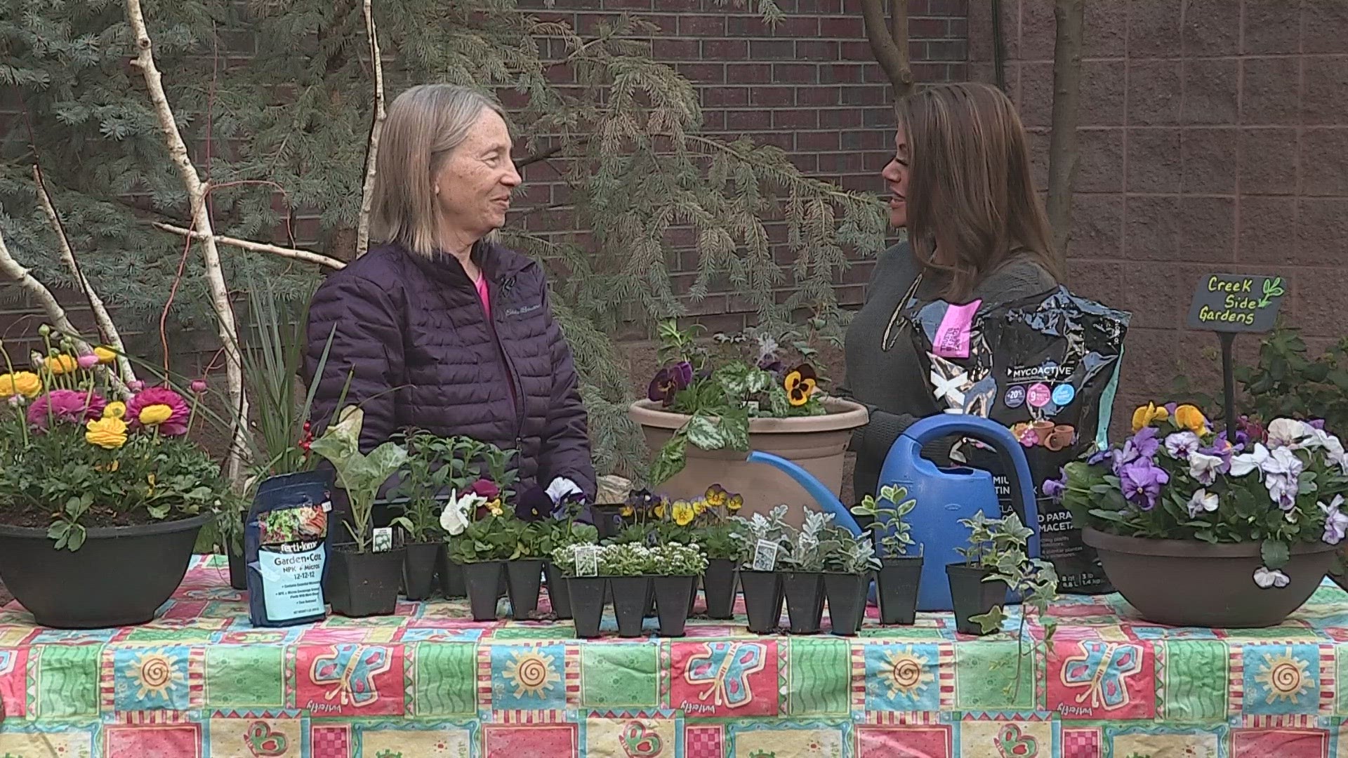 Debi Borden- Miller, with the Colorado Nursery and Greenhouse Association shares tips for planting annuals this spring.