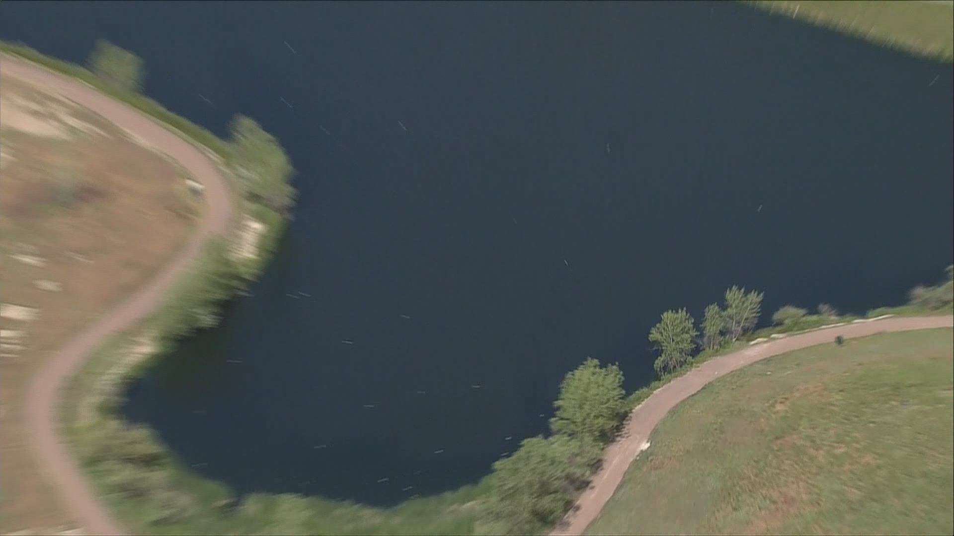 About 10 percent of the fish population in the pond at Westminster City Park were found dead. An investigation is underway to determine how they died.