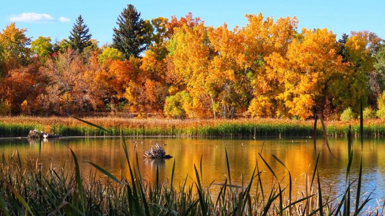 9 places to enjoy the fall leaves in Denver