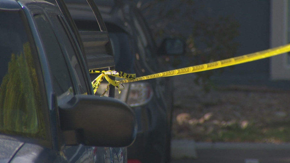 Man fatally shot by police assaulted mother before shooting at officers