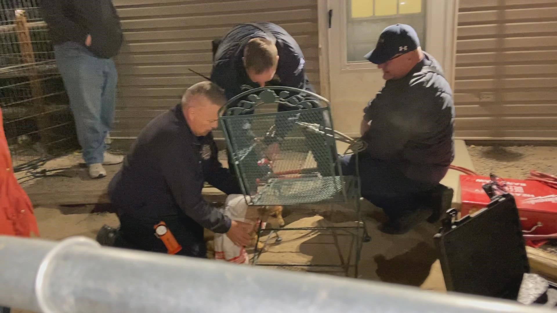 A dog named Alphabet had quite the night on Wednesday when his head got stuck in a piece of lawn furniture; luckily, the fire department came to the rescue.