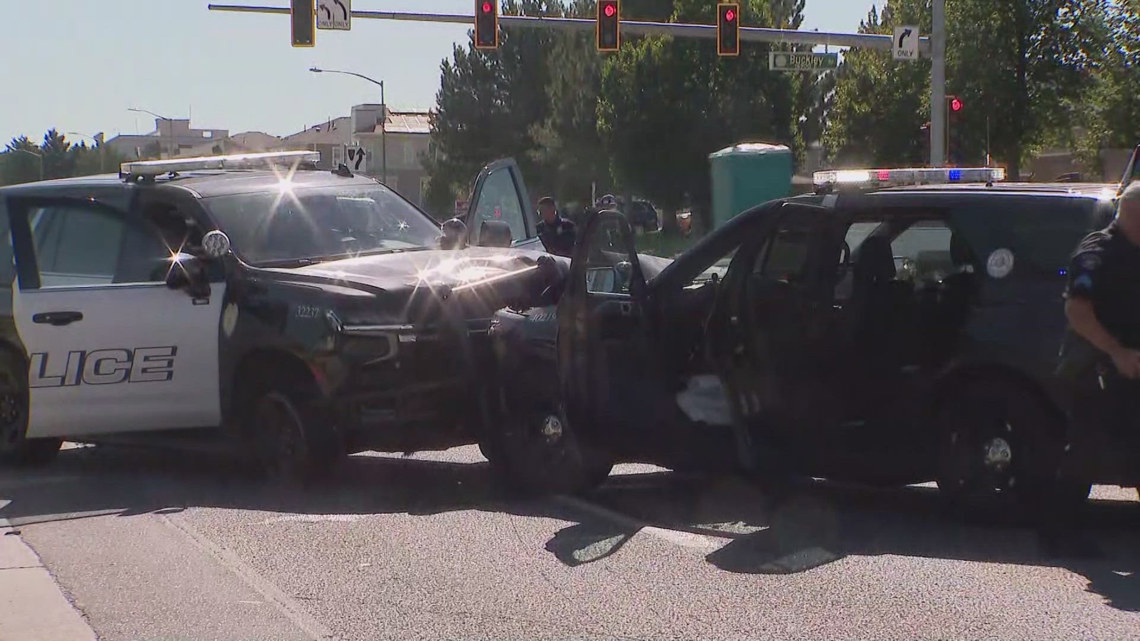 Man in custody after leading officers on chase in stolen patrol car ...
