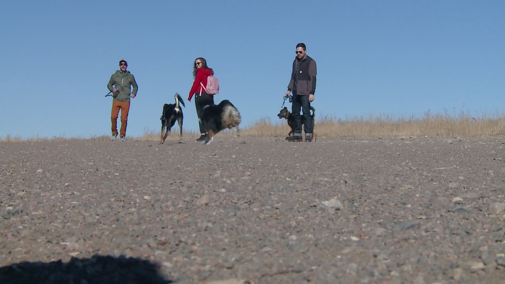 Dr. Alexander Robb from Goodheart Animal Health Center offers advice for exercising with pets during the hot summer months.