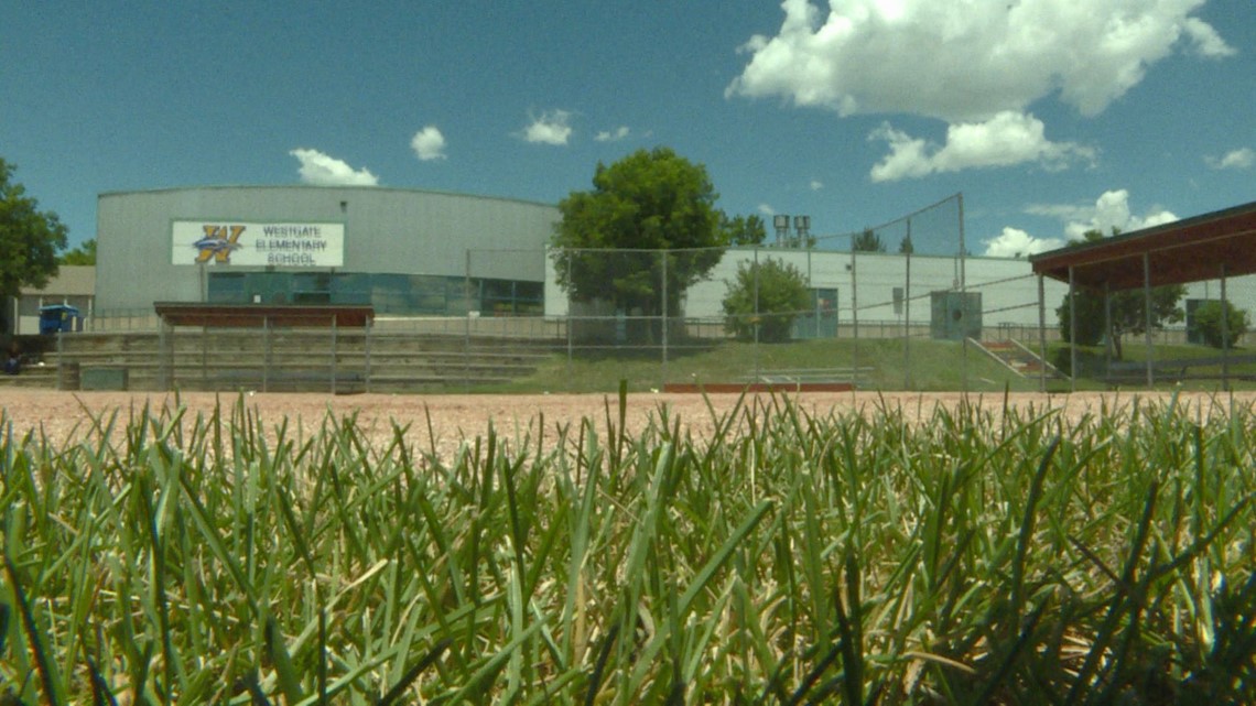Violent behavior in baseball contributes to umpire shortage