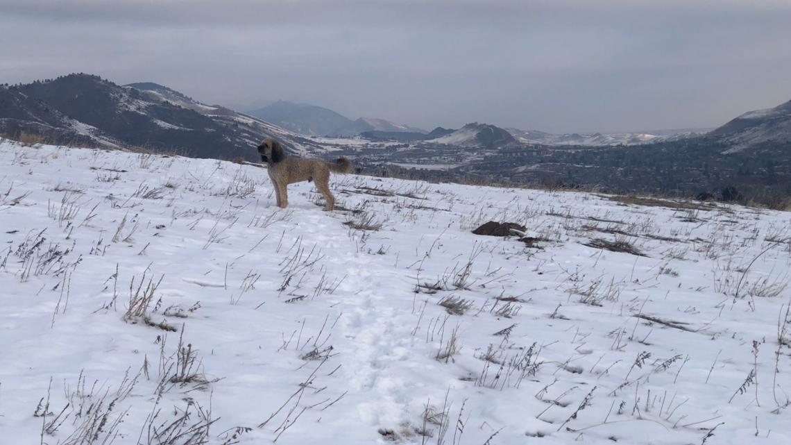 Colorado Snow Totals: How Much Fell In Jan. 29-31 Storm | 9news.com