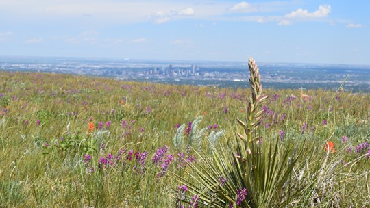 Easy Green Mountain Hike Near Denver, Colorado Has Incredible ...