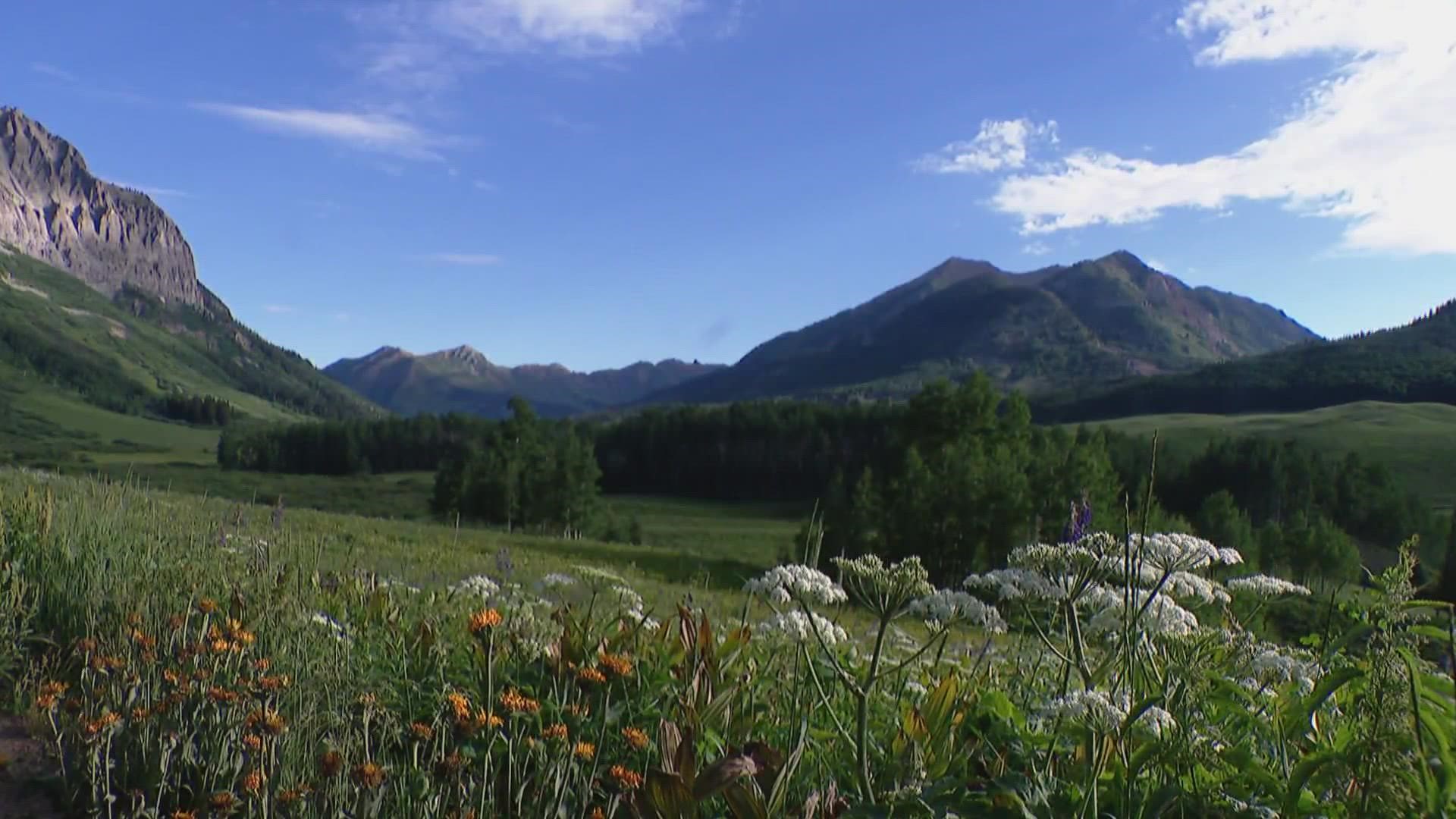 It's wildflower season in Colorado and there's nowhere better to see them than the area around Crested Butte. 9NEWS Anne Herbst takes us hiking.