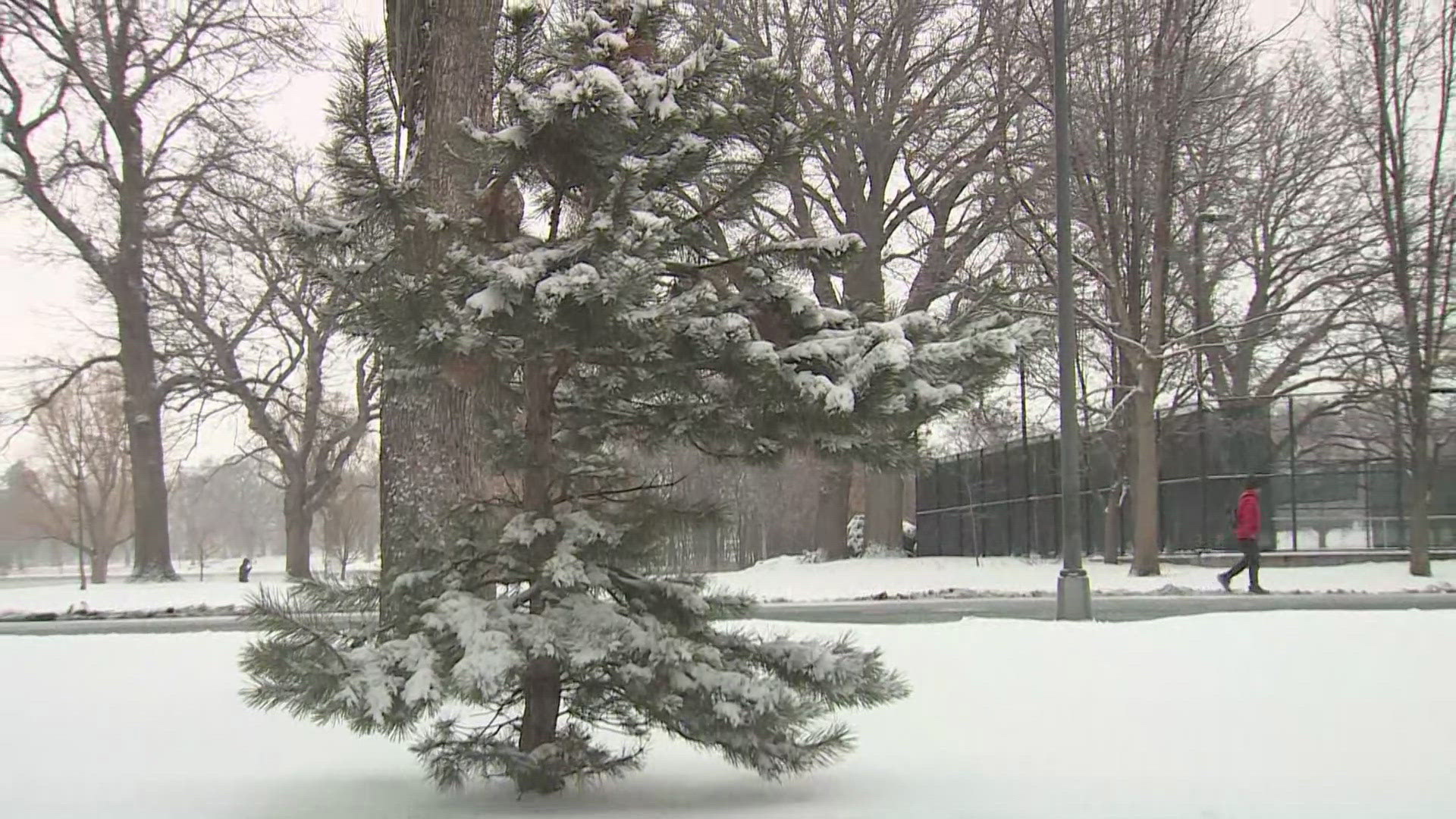 Courtney Yuen has a look at snowy conditions Monday morning at Denver's Washington Park after a winter storm moved through the area.