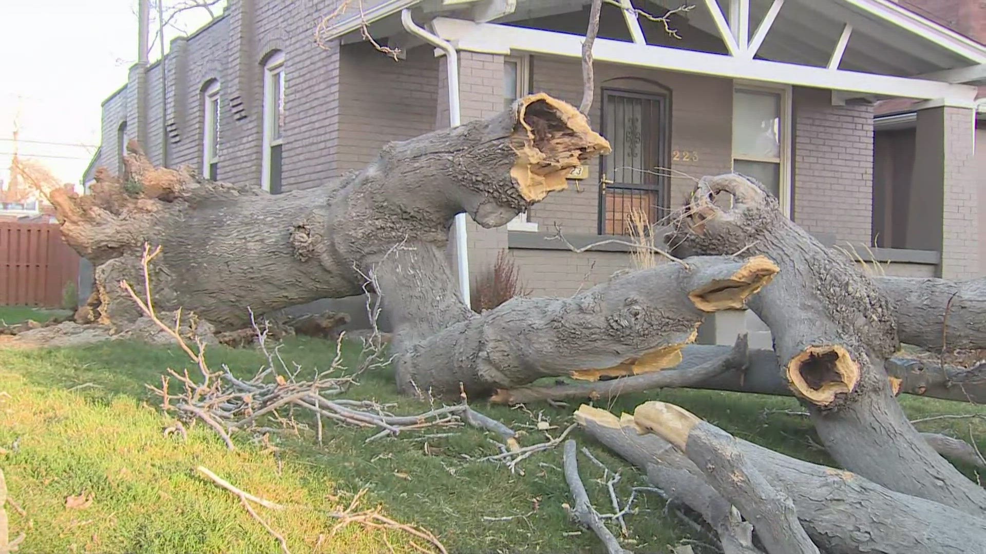 Damage from high winds over the weekend extended from Denver into the surrounding metro area and foothills.