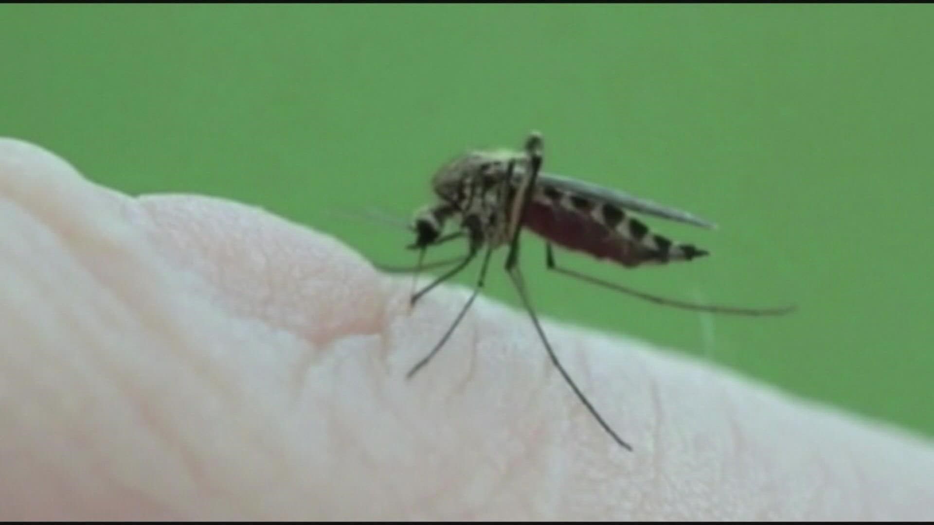 The cooler weather on the way should knock out many of the mosquitoes, according to the health department.