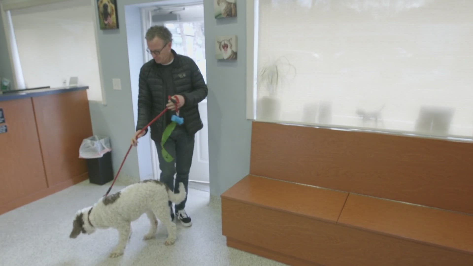 Consumer Investigator Steve Staeger says there may be a better way to save at the vet.