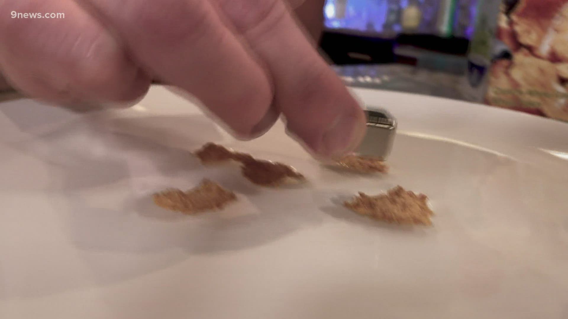 Steve Spangler suggests starting off the day with a bowl of cereal, and a really strong magnet.