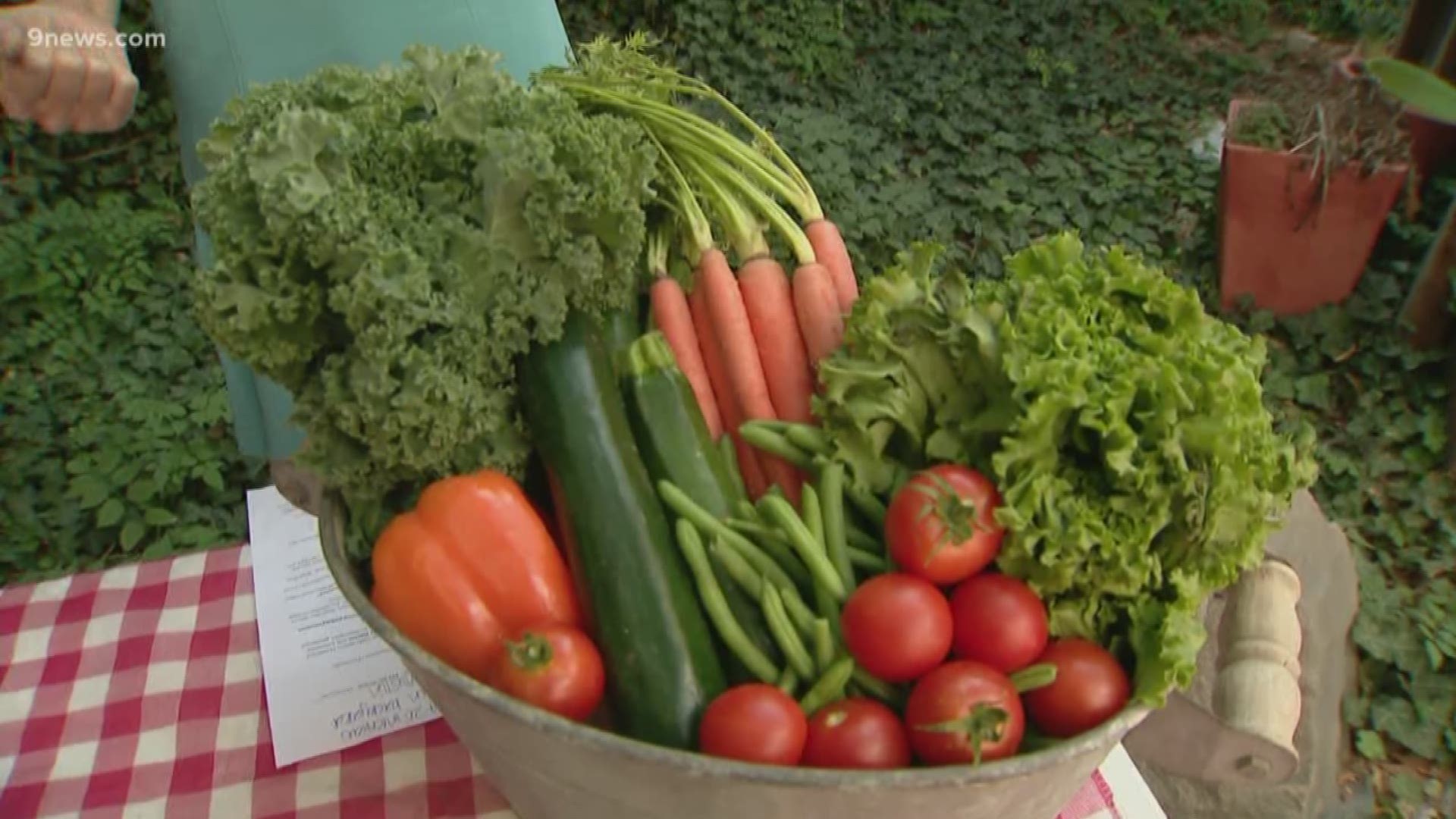 We're now on the down side of the growing season, and some plants might need to be replaced while we're waiting for others to ripen for the harvest.