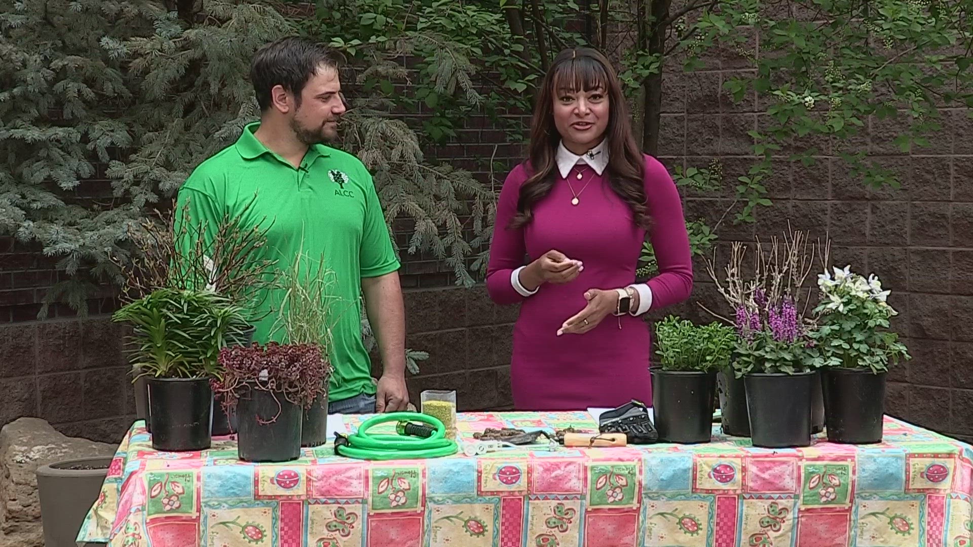 Ben Randall with the Associated Landscape Contractors of Colorado is here to review some items for starting your landscape right.
