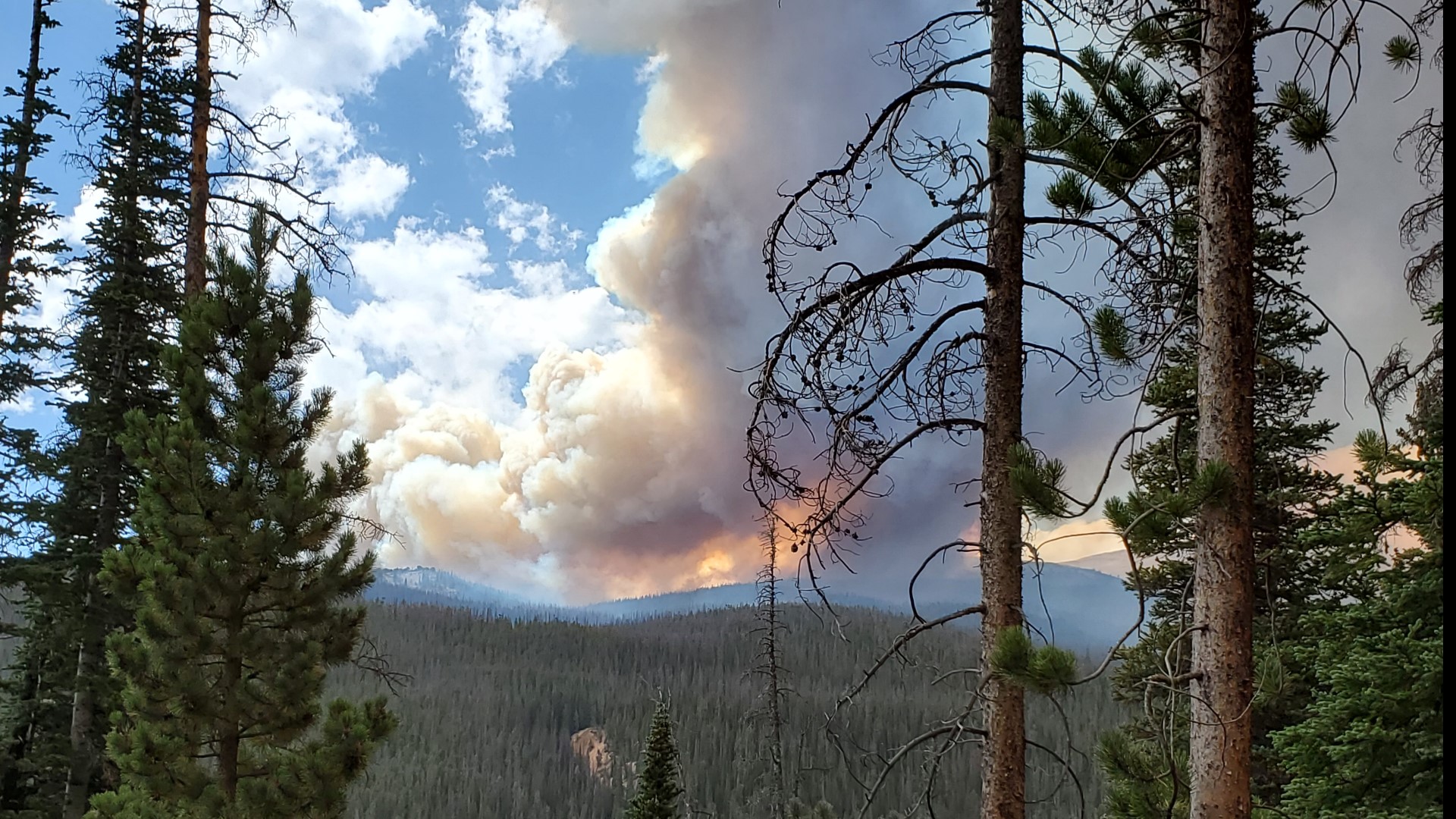 PHOTOS: Wildfires burning in Colorado | 9news.com