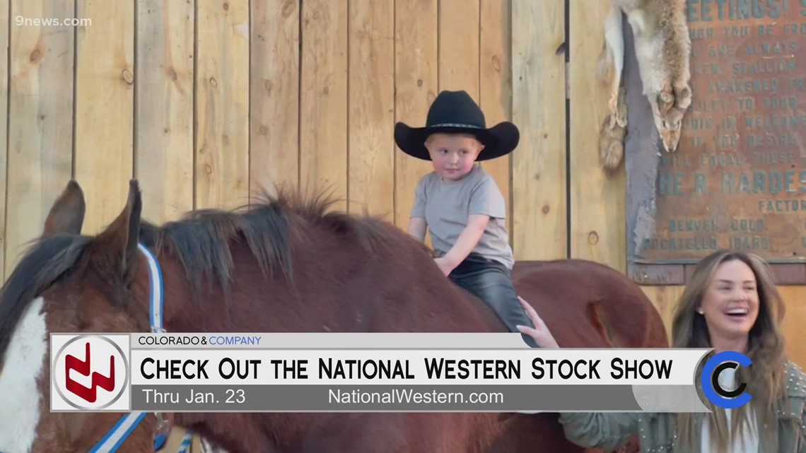 National Western Stock Show - Longhorns - January 20, 2022