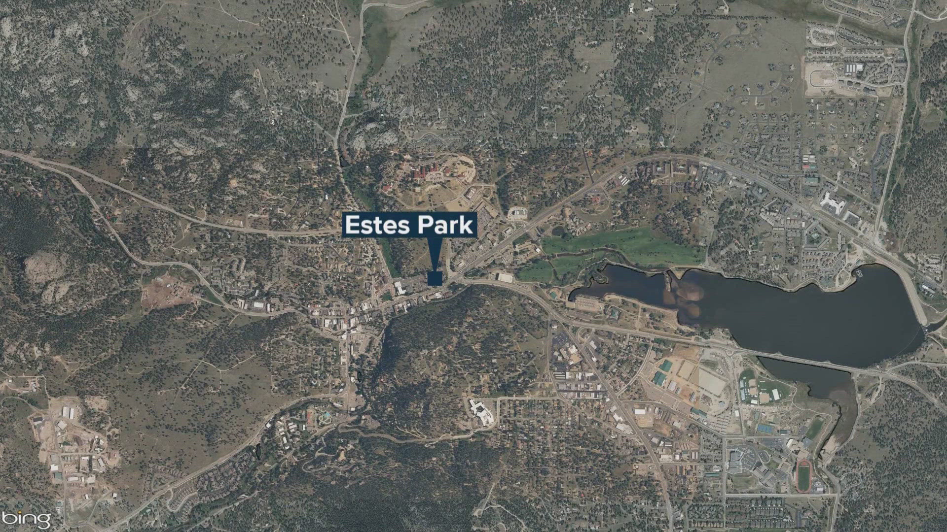 Elderly woman injured by bear in Larimer County | 9news.com