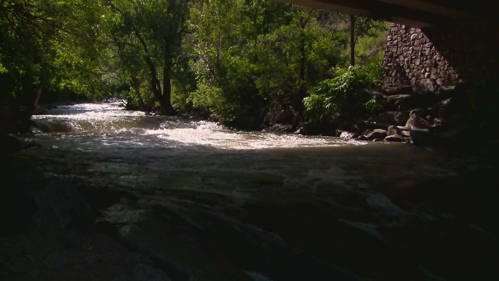 Police said the woman entered the water to help a family member and was swept away by the current.