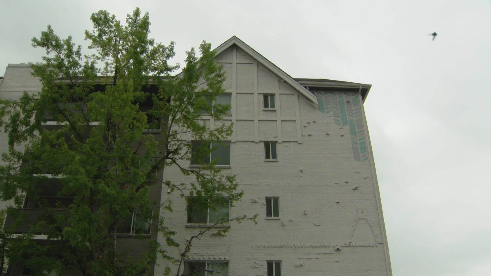 Four former tenants of an apartment complex in southeast Denver say it was operated like a slum.