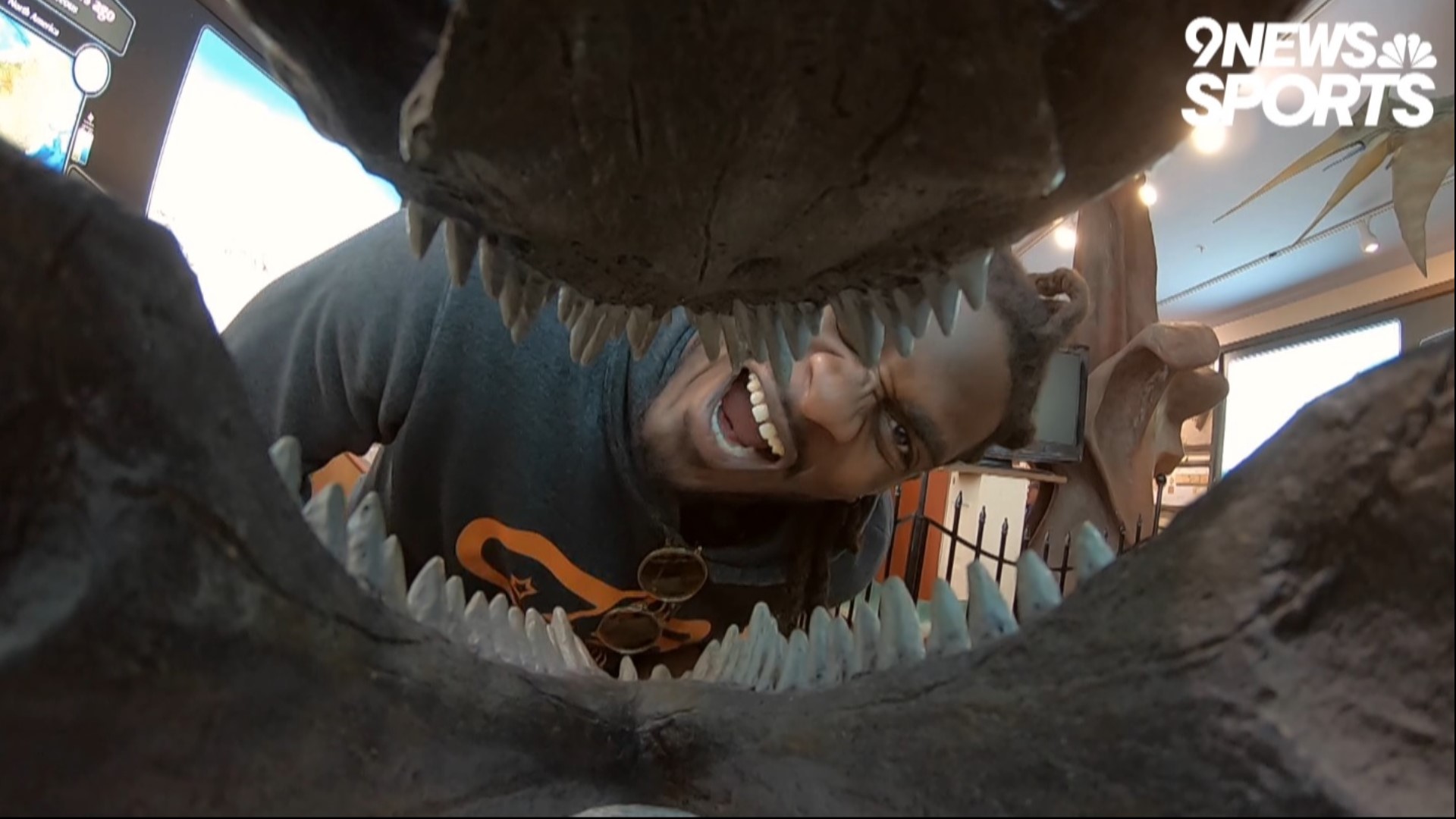 Denver Broncos linebacker Alexander Johnson loves dinosaurs, and took on "The Dino" as an alter ego in college.