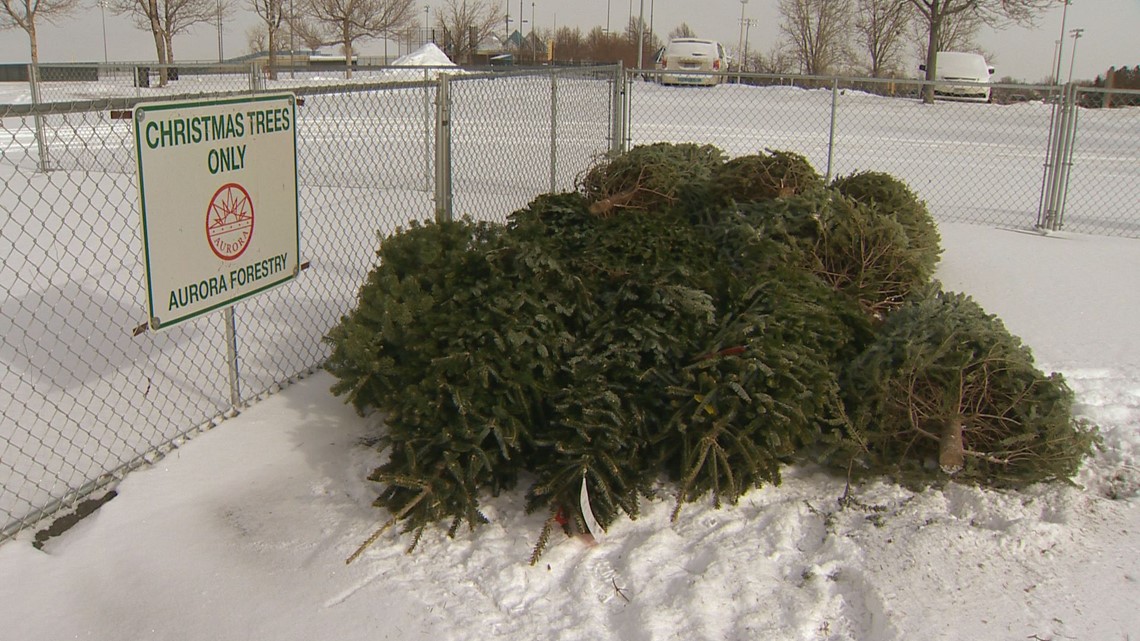 Boulder Colorado Christmas Tree Recycling 2022 Christmas Tree Recycling: Here's Where (And When) You Can Drop-Off Your Tree  In Colorado | 9News.com