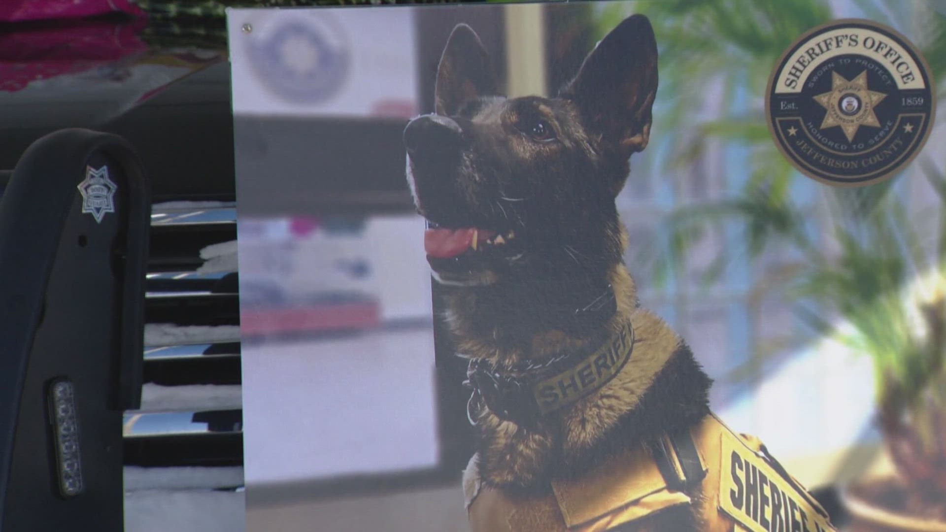 A man who shot and killed a Jefferson County Sheriff's Office K-9 was sentenced Friday to 12 years in prison.