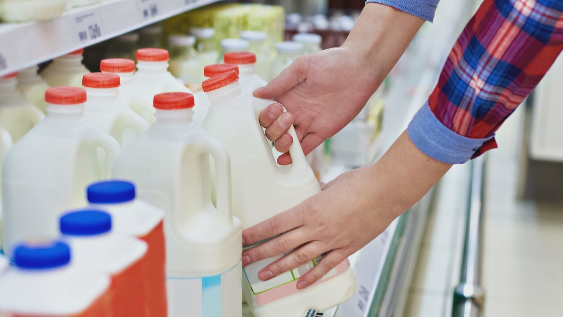 Choosing between the many sources of dairy and non-dairy milks is largely a matter of personal choice in terms of tolerance, goals, use, and preference.