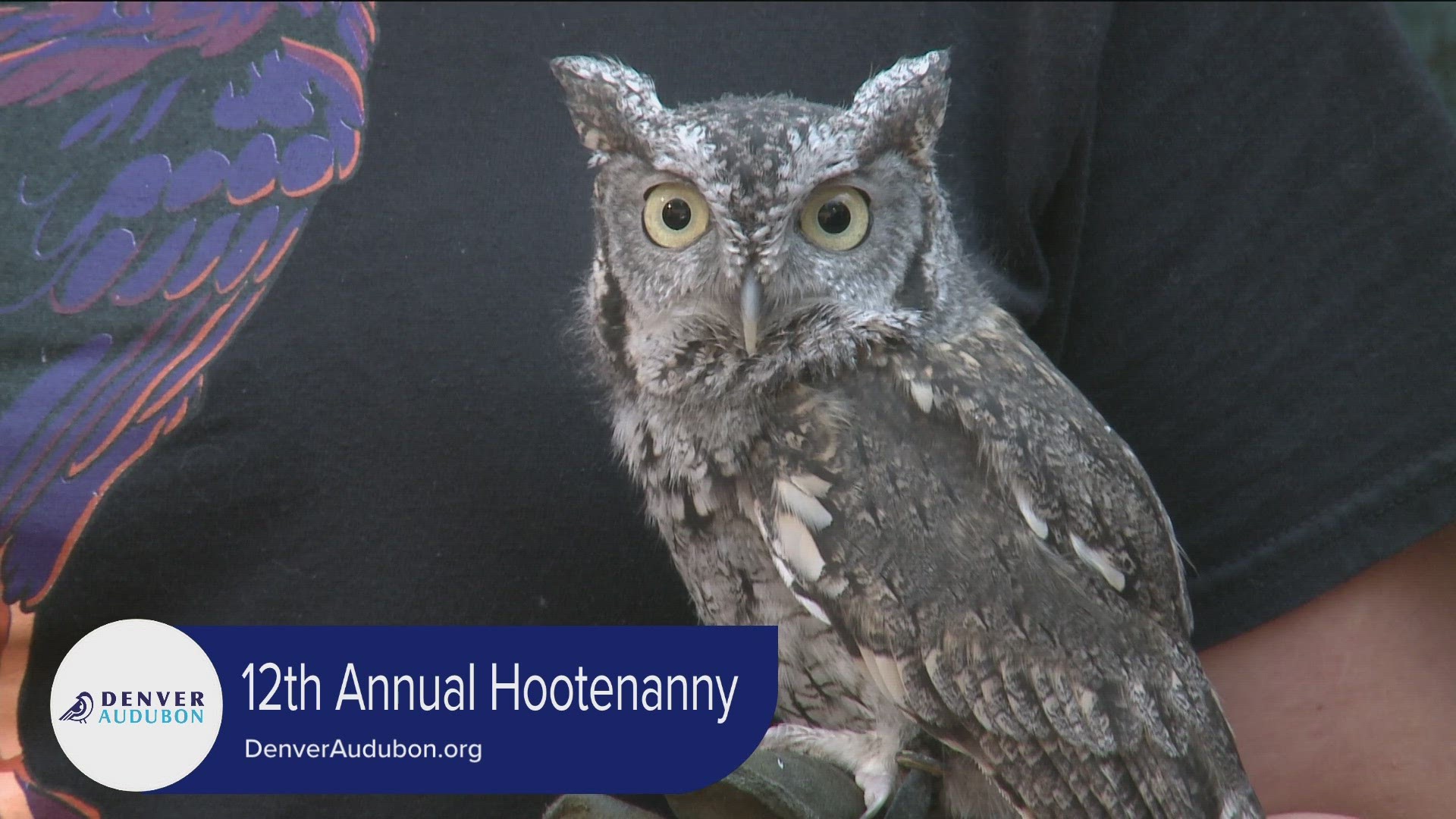 The 12th Annual Denver Audubon Hootenanny happens on September 30th. Register and learn more at DenverAudubon.org.