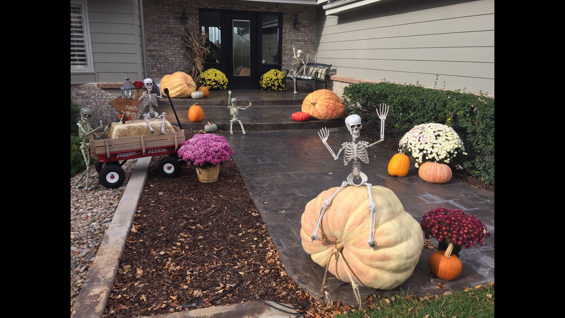 Show us the best Halloween decorated house in Colorado!