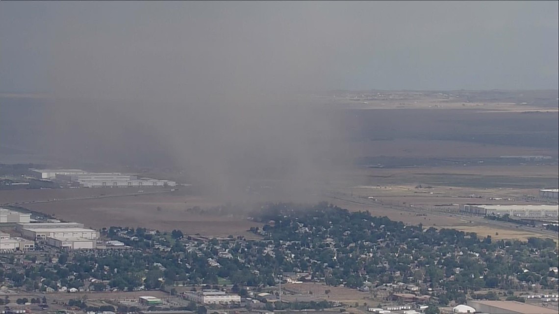 Rattlesnake vaccine for dogs What you need to know