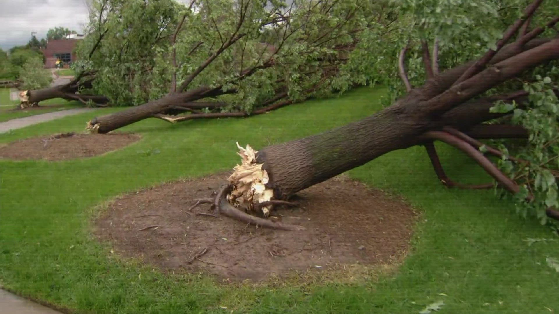 A hail storm hit Colorado Wednesday night damaging a vehicle after trees fell in the Highlands Ranch neighborhood.